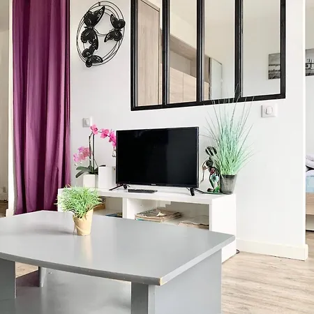 Nice Apartmentcanopy Tram Cnear City Center #d3 *