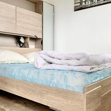Nice Apartmentcanopy Tram Cnear City Center #d3 * غرونوبل